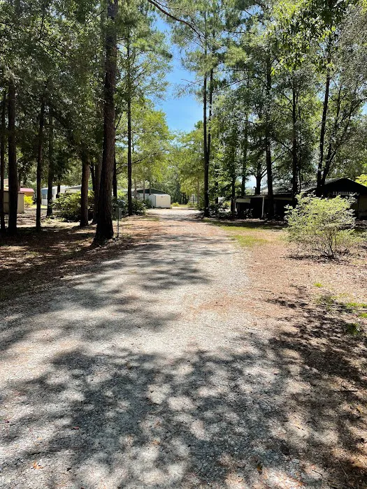 Pataula Storage, Camping, RV Park Picture 8
