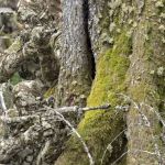 Mid City Mobile Home Park