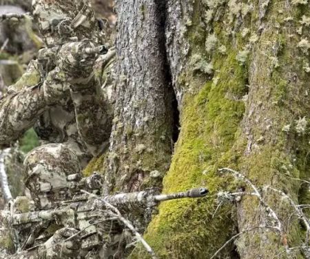 Mid City Mobile Home Park