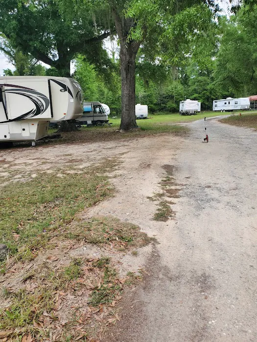 Shady Oaks RV Park Picture 3