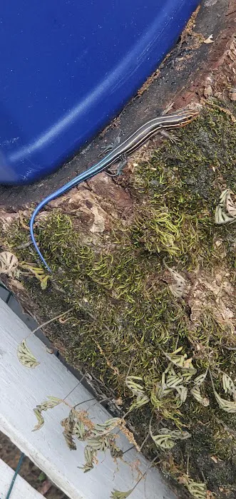 Happy Hideaway rv resort Picture 7