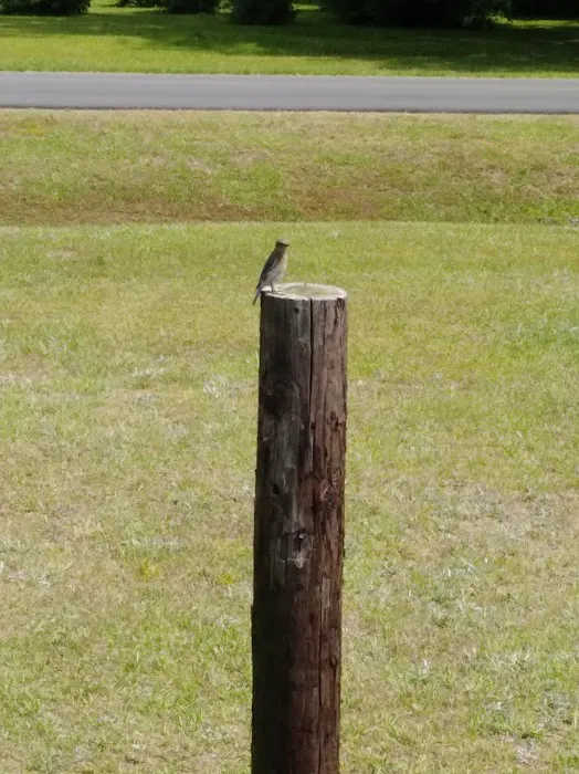 PPA RV Park Picture 7