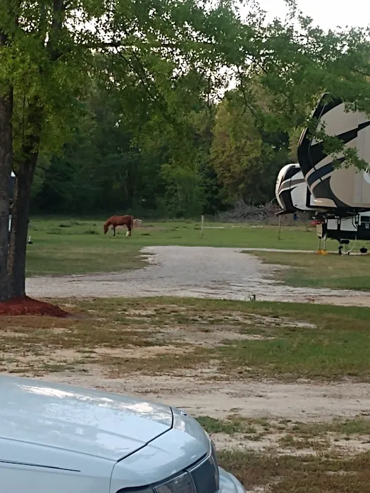 Just friends Rv park Picture 2