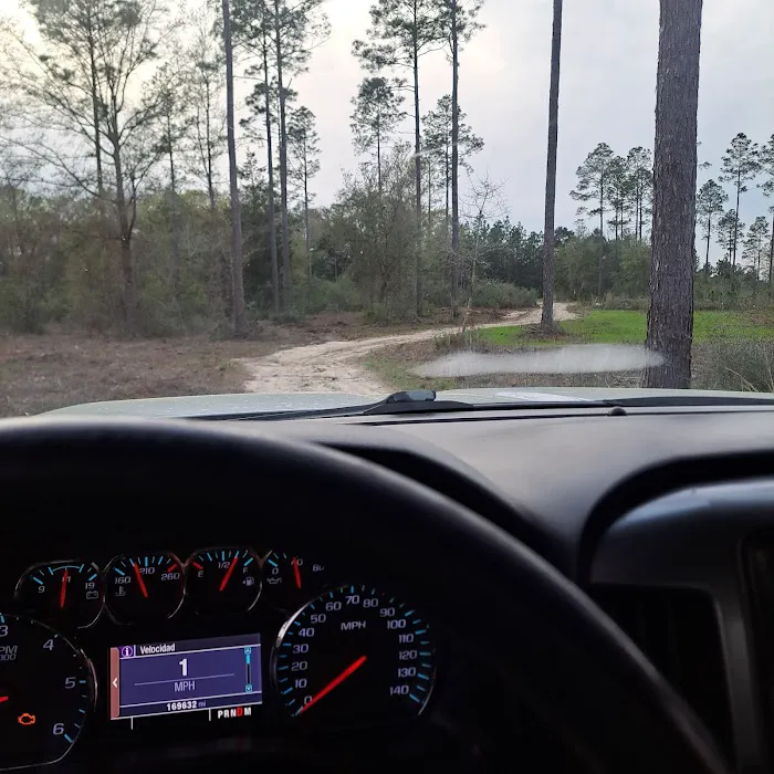 Coggins Country Estates Picture 9