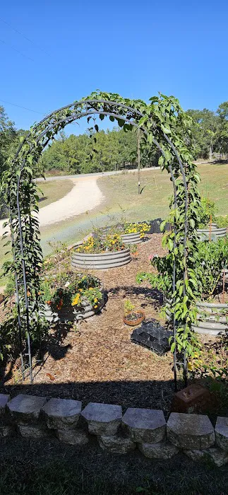 Kelly Creek RV Park Picture 7