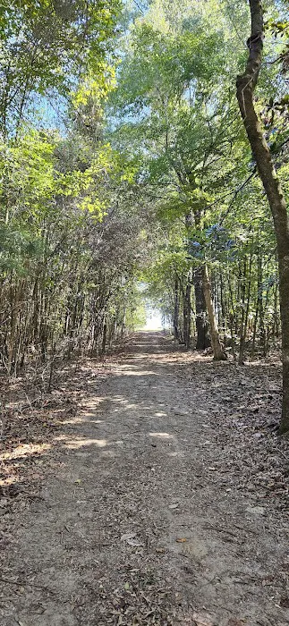 Kelly Creek RV Park Picture 4