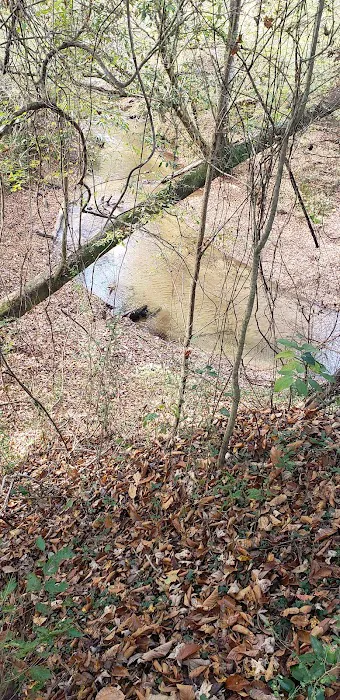 Kelly Creek RV Park Picture 9