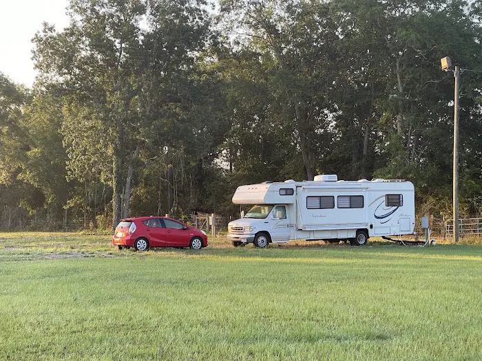 Wiregrass RV Park and Campground Picture 6