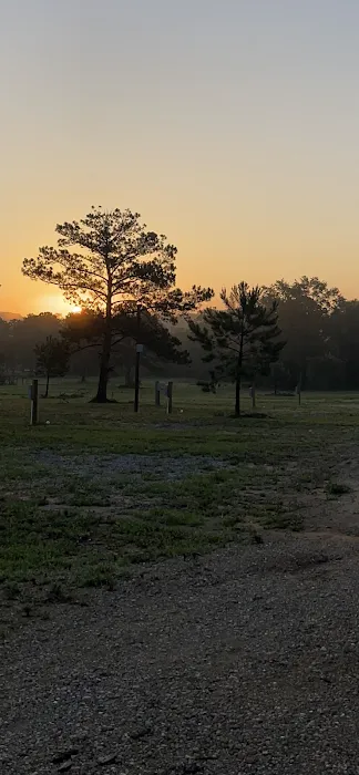 Wiregrass RV Park and Campground Picture 3