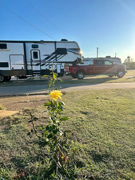 Mr D's RV Park Picture 5