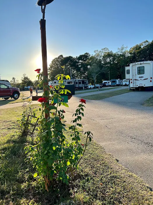 Mr D's RV Park Picture 6