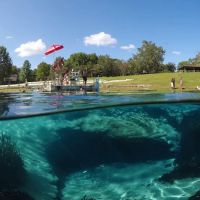 Florida Caverns RV Resort at Merritt's Mill Pond ico