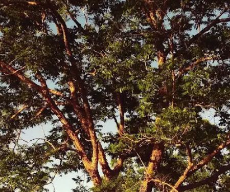 Lifestyle Mobile Home Estates (Carter's Mobile Home Park)