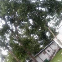 Trailer Park ico