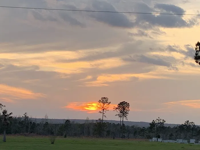 Alliance Hill RV Resort Picture 8
