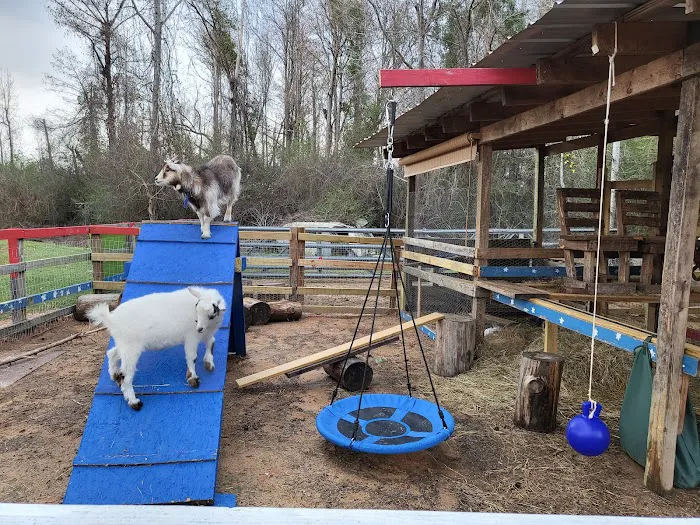 HitchinPost RV Park and Campground Picture 3