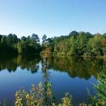 HitchinPost RV Park and Campground