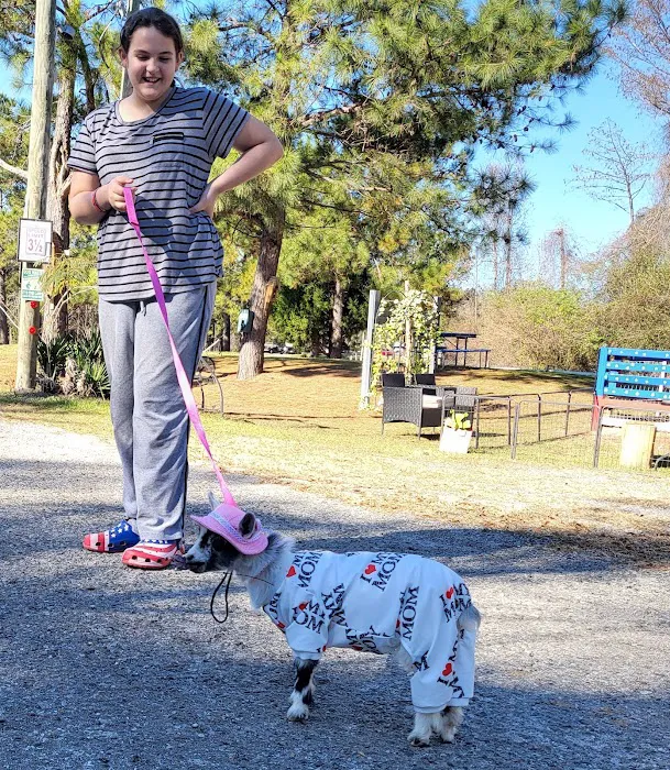 HitchinPost RV Park and Campground Picture 6