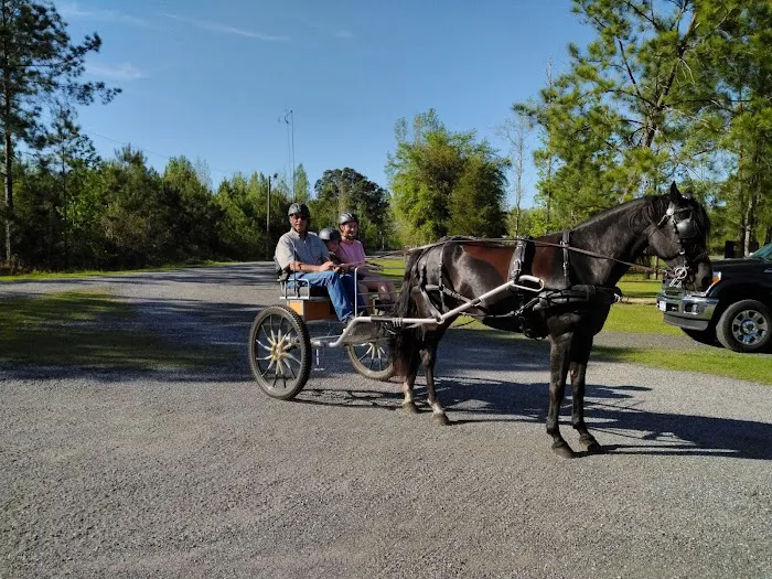 HitchinPost RV Park and Campground Picture 10