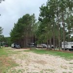 American Robin RV Park