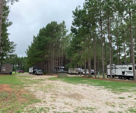 American Robin RV Park