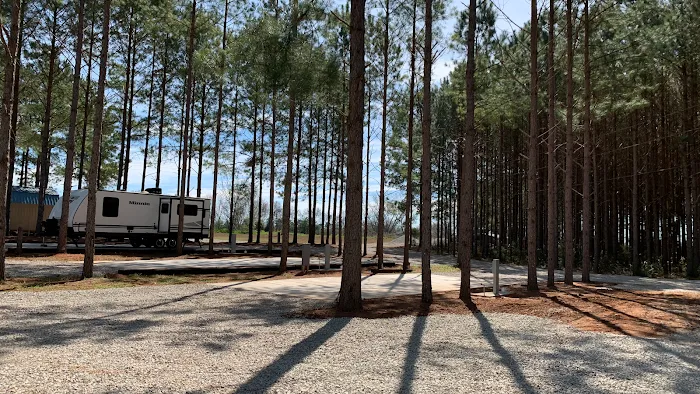 American Robin RV Park Picture 9