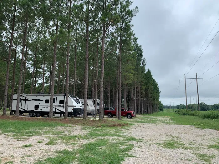 American Robin RV Park Picture 8