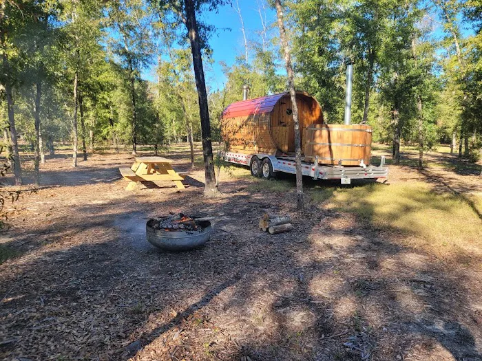 In The Woods RV park and Storage Picture 4