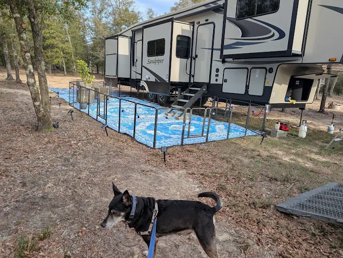 In The Woods RV park and Storage Picture 9