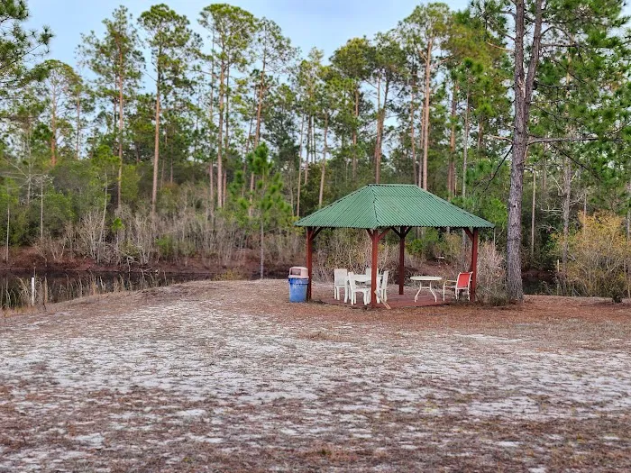 Pine Lake RV Park Picture 5