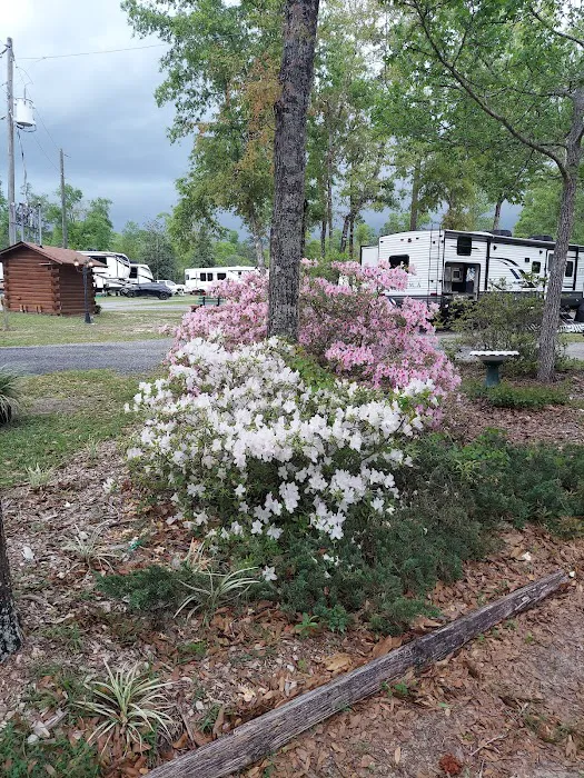 Flat Creek Family Campground & RV Park Picture 10