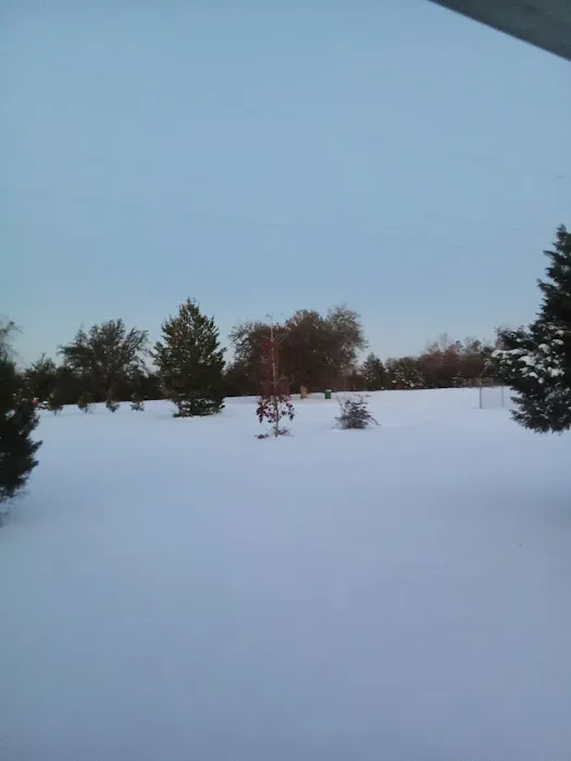 Trailer City Mobile Home Community Picture 1