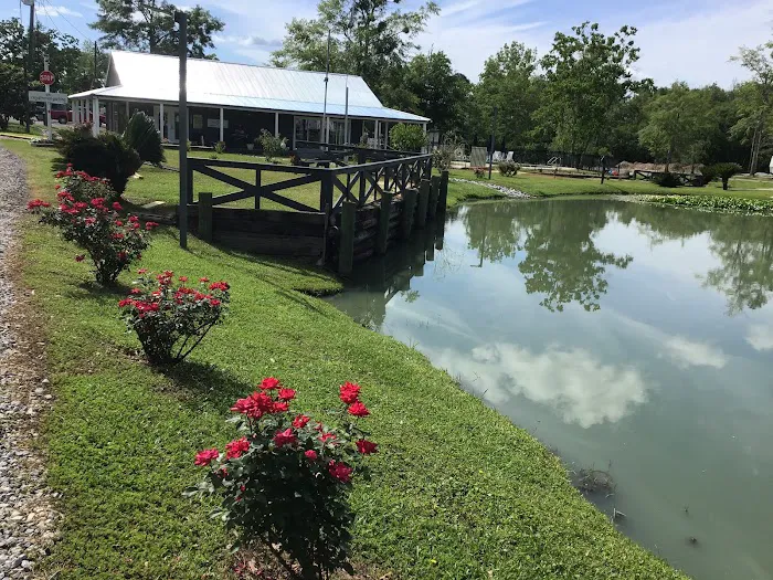 Outback Springs RV Resort Picture 5