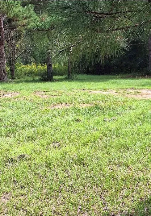 Pecan Hills Campground Picture 5