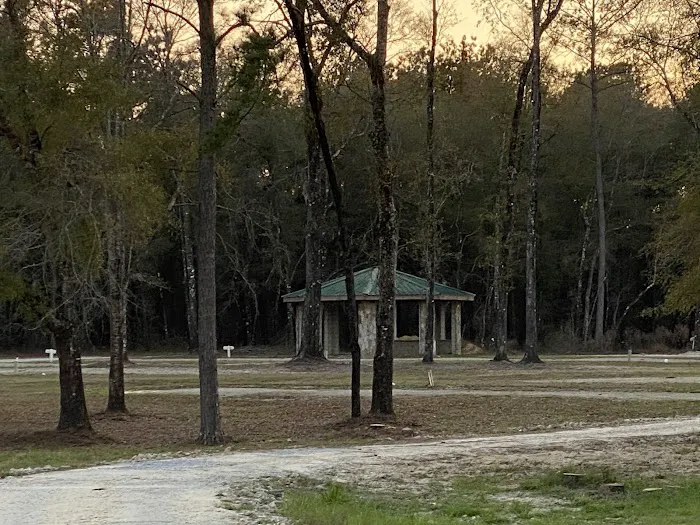 Ponce De Leon RV Park Picture 4