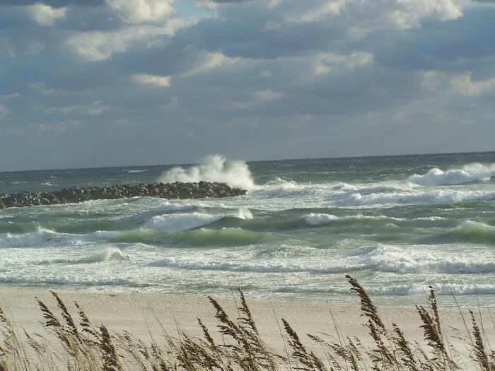 Ponce De Leon RV Park Picture 3