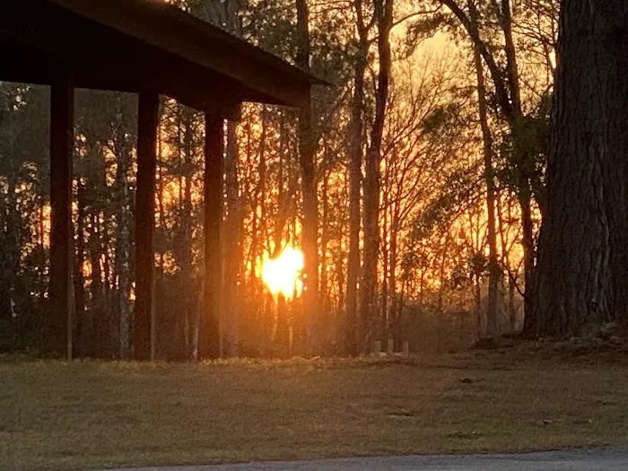 Ponce De Leon RV Park Picture 7