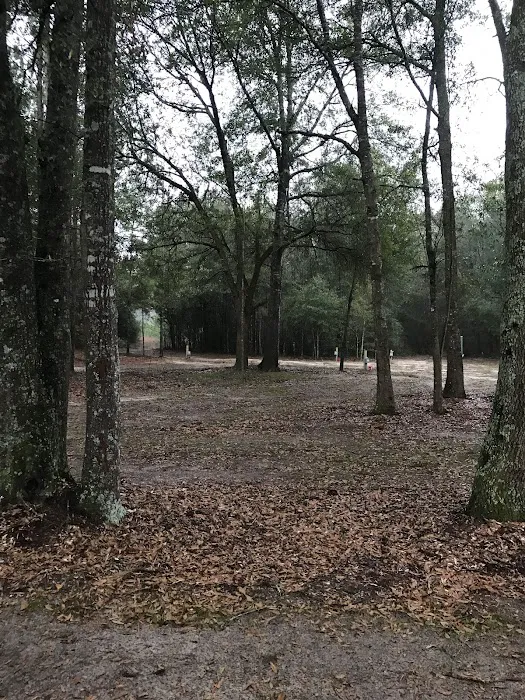 Liveoak Rv Park-Alabama Picture 2