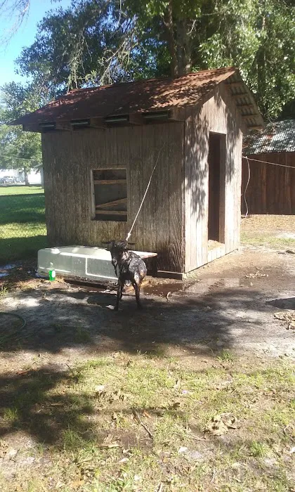 Sherman Pines Mobile Home Park Picture 7