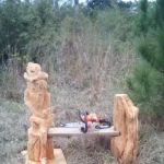 Pines/Palm Haven Mobile Home Park