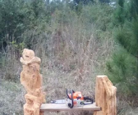 Pines/Palm Haven Mobile Home Park