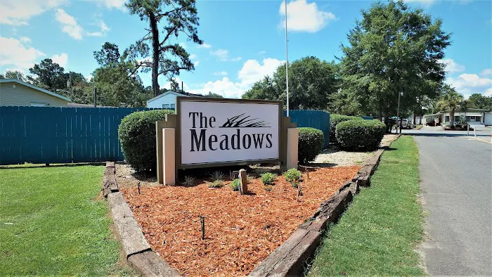 The Meadows Picture 10