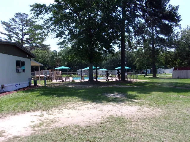The Meadows Picture 6