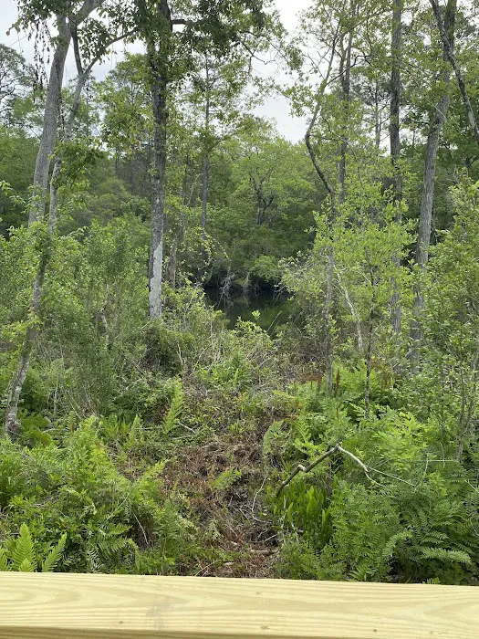 Black Creek RV Park Picture 1