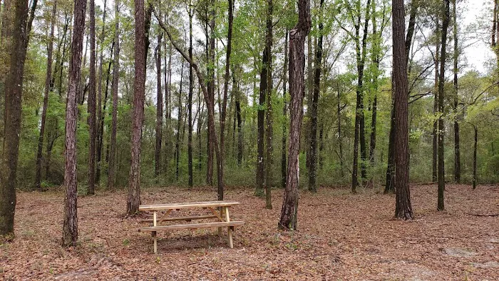 Black Creek RV Park Picture 8