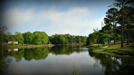 Cool Springs Park - Mobile Home & RV Community Picture 9