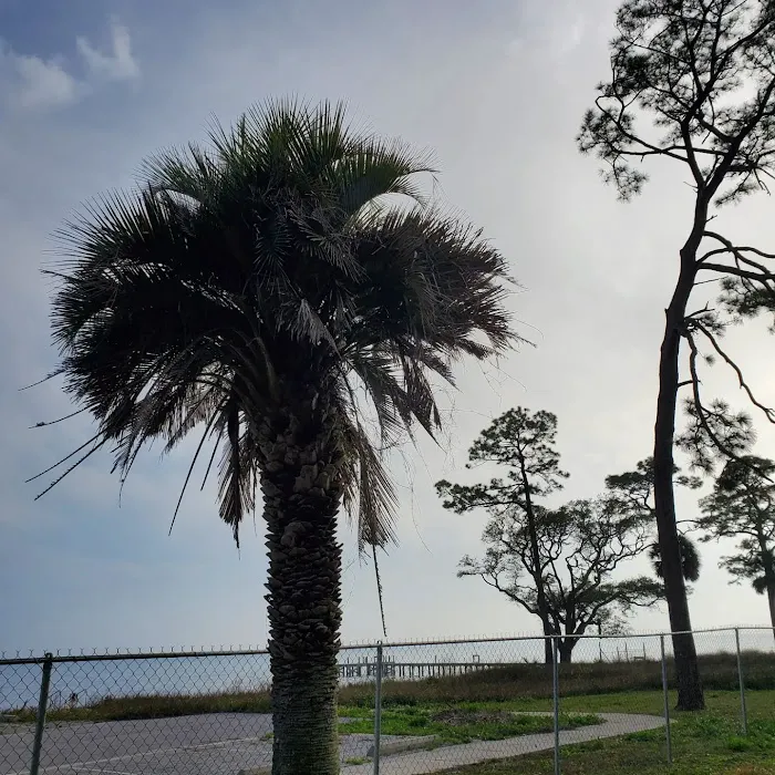 NSA Panama City RV Park Picture 7