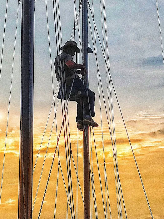 Gulf Oaks RV Park & Smuggler's Cove Marina Picture 1