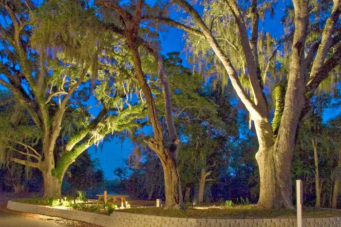 Live Oak Landing Picture 9