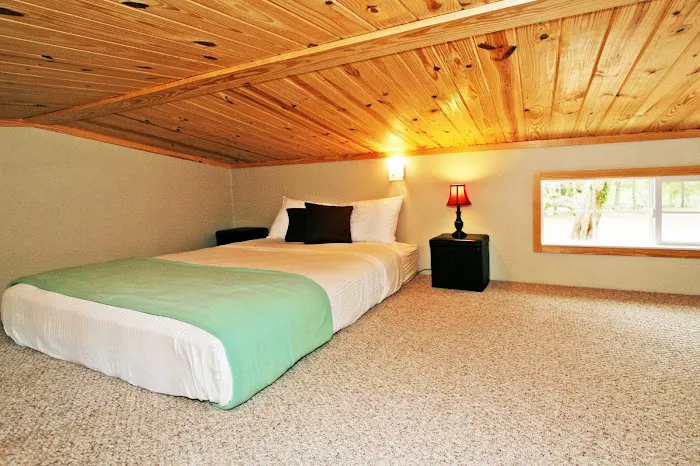 Live Oak Landing Picture 5